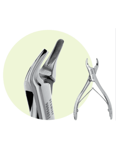 Forceps 150 pediatrico PREMIER