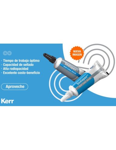 Sealapex Kerr cemento endodontico