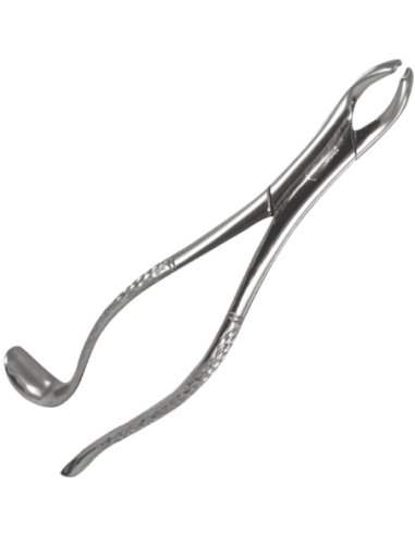 Forceps 24 ECO