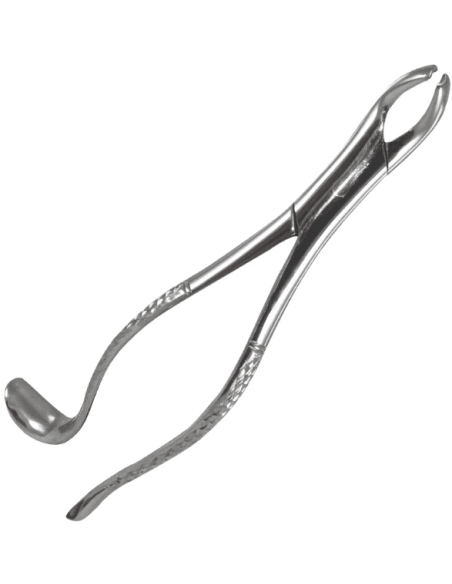 Forceps 24 ECO